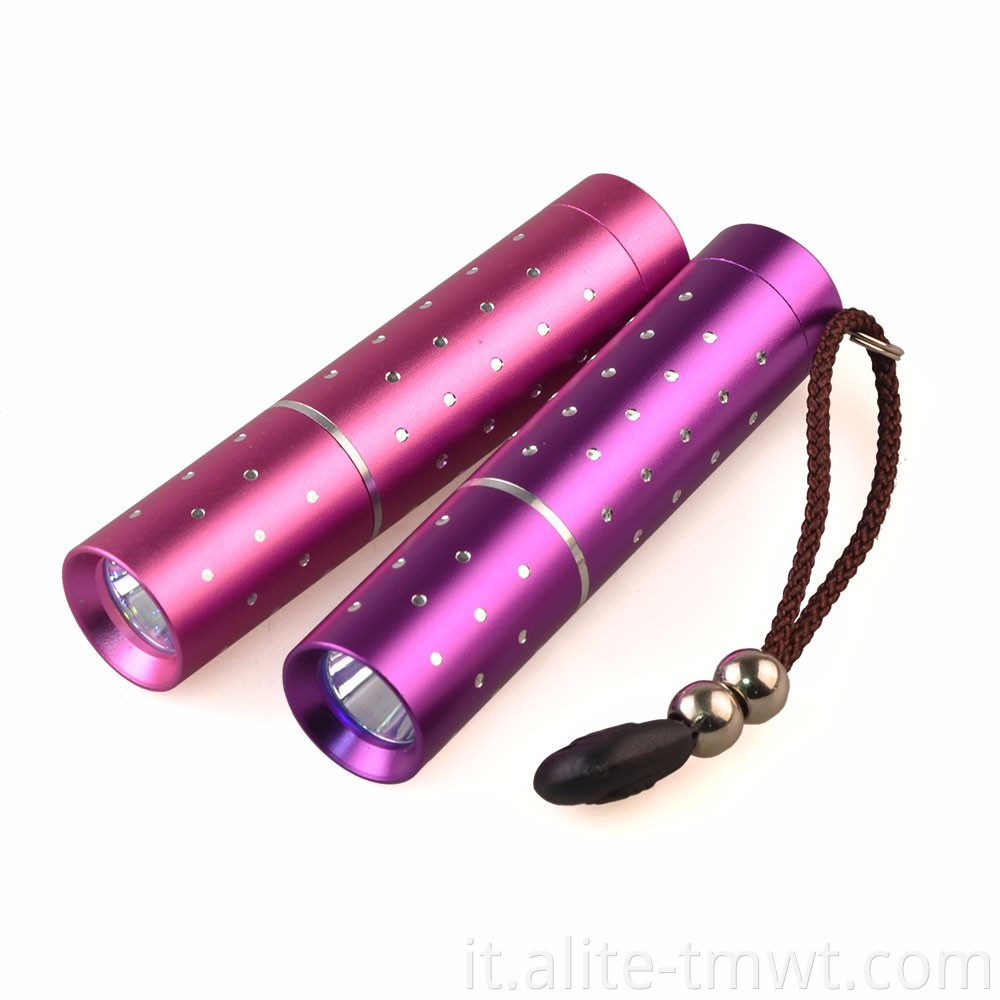 Torcia tascabile Mini Torcia Black Light LED LIGHT Purple Light 365nm UV